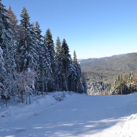 Christina Apartment In Laplandia Pamporovo Dış mekan fotoğraf